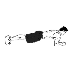 Gif image of leg raised plank workout for abs.