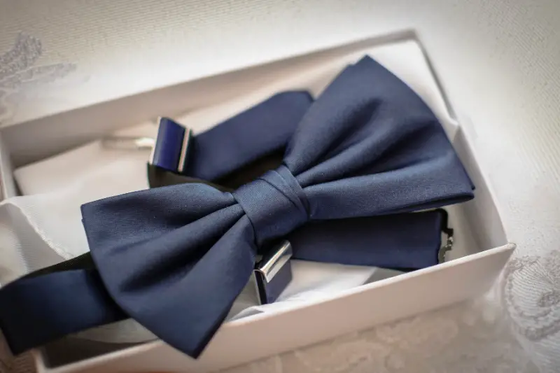 Types of men's neckties, bow tie image.