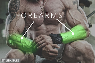 Fore arms are shown by a guy.
