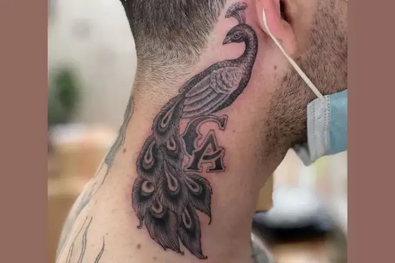 Peacock, Medium/Big size neck tattoos