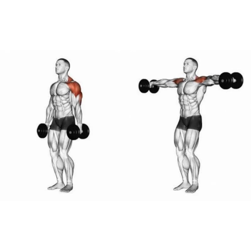 Lateral raise or variation