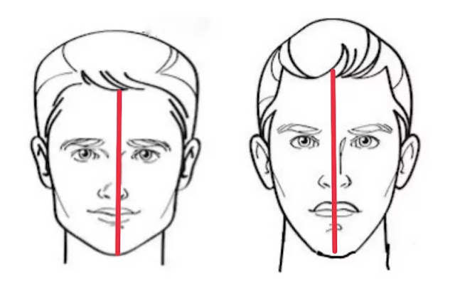 Shown how to measure face length, with vector sketch of face.